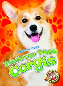 Pembroke Welsh Corgis