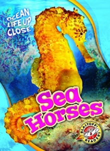 Sea Horses