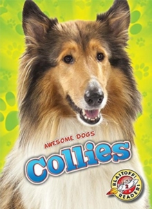 Collies