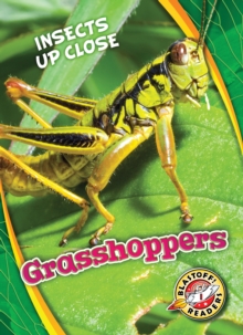 Grasshoppers