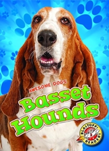 Basset Hounds