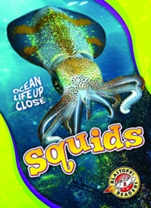 Squids