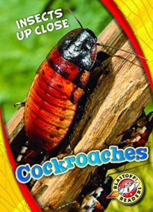 Cockroaches