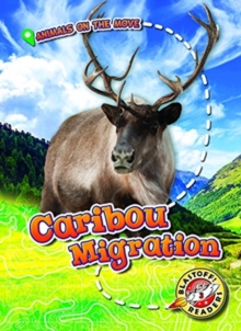 Caribou Migration