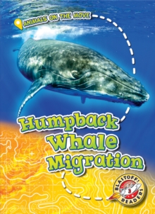 Humpback Whale Migration