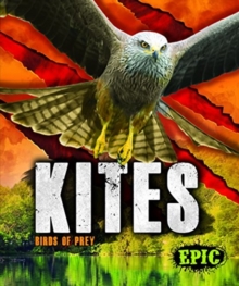 Kites