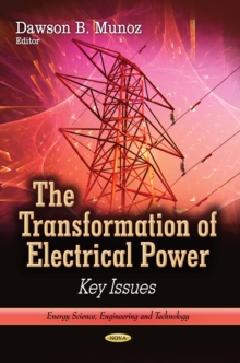 The Transformation of Electrical Power : Key Issues