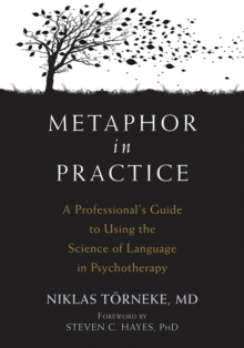 Metaphor In Practice : A Professional's Guide To Using The Science Of Language In Psychotherapy