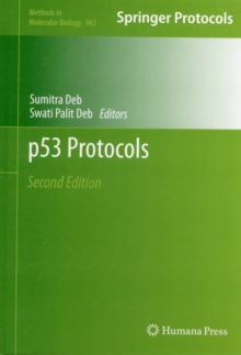 P53 Protocols, Hardback Book P53 Protocols, Hardback Book