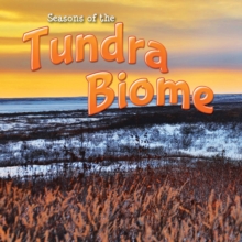 Seasons Of The Tundra Biome