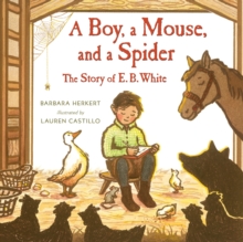 A Boy, a Mouse, and a Spider, Hardback Book A Boy, a Mouse, and a Spider, Hardback Book