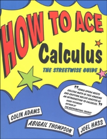 How to Ace Calculus : The Streetwise Guide