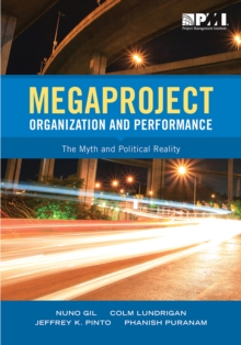 Megaproject Organization and Performance