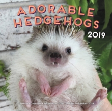 Adorable Hedgehogs 2019 : 16-Month Calendar - September 2018 through December 2019, Calendar Book Adorable Hedgehogs 2019 : 16-Month Calendar - September 2018 through December 2019, Calendar Book