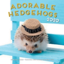 Adorable Hedgehogs 2020 : 16-Month Calendar - September 2019 through December 2020, Calendar Book Adorable Hedgehogs 2020 : 16-Month Calendar - September 2019 through December 2020, Calendar Book