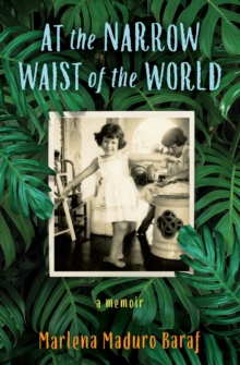 At the Narrow Waist of the World : A Memoir