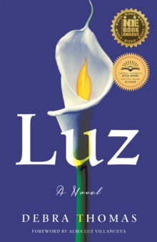 Luz : A Novel