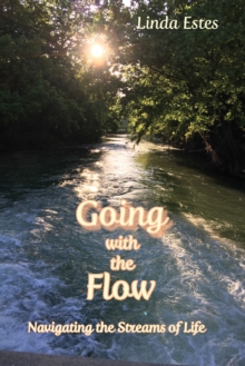 Going with the Flow : Navigating the Streams of Life