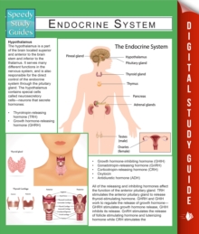 Endocrine System (Speedy Study Guides)