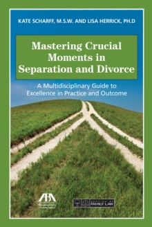 Mastering Crucial Moments in Separation and Divorce : A Multidisciplinary Guide to Excellence in Practice and Outcome