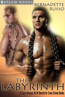 The Labyrinth - A Sexy Fantasy M/M Novelette from Steam Books