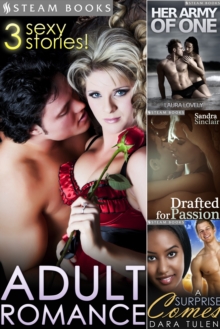 ADULT ROMANCE - 3 Sexy Stories!