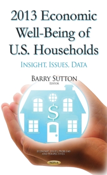 2013 Economic Well-Being of U.S. Households : Insight, Issues, Data