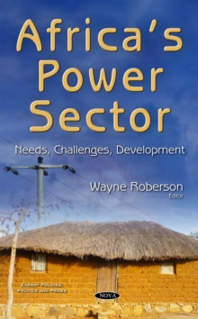 Africa's Power Sector : Needs, Challenges, Development