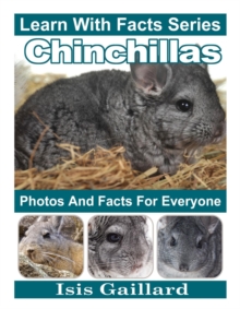 Chinchillas Photos and Facts for Everyone