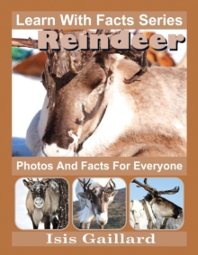 Reindeer Photos and Facts for Everyone