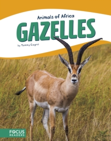 Animals of Africa: Gazelles, Paperback / softback Book Animals of Africa: Gazelles, Paperback / softback Book
