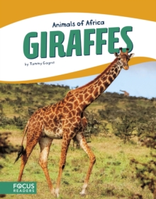Giraffes, Paperback / softback Book Giraffes, Paperback / softback Book
