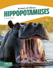 Animals of Africa: Hippopotamuses, Paperback / softback Book Animals of Africa: Hippopotamuses, Paperback / softback Book