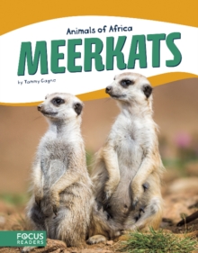 Animals of Africa: Meerkats, Paperback / softback Book Animals of Africa: Meerkats, Paperback / softback Book