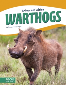 Warthogs, Paperback / softback Book Warthogs, Paperback / softback Book