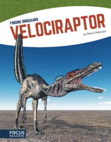 Velociraptor, Paperback / softback Book Velociraptor, Paperback / softback Book