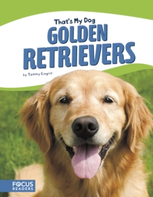 Golden Retrievers, Paperback / softback Book Golden Retrievers, Paperback / softback Book