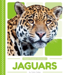 Rain Forest Animals: Jaguars, Paperback / softback Book Rain Forest Animals: Jaguars, Paperback / softback Book