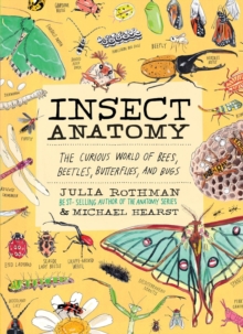 Insect Anatomy : The Curious World of Bees, Beetles, Butterflies, and Bugs