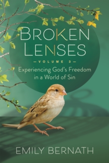 Broken Lenses : Experiencing God's Freedom In A World Of Sin