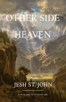 The Other Side of Heaven  A Novel : from the grey life to eternal light
