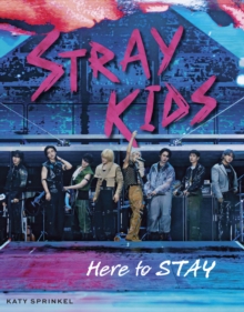 Stray Kids : Here to STAY