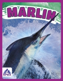 Giants of the Sea: Marlin