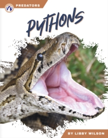 Predators: Pythons