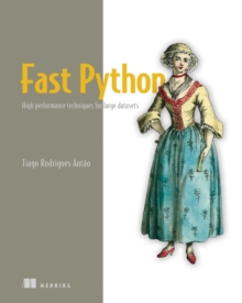 Fast Python : High performance techniques for large datasets