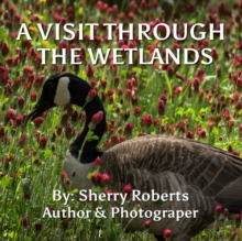 A Visit Through the Wetlands