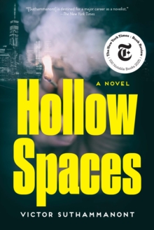 Hollow Spaces : A Novel