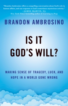Is It God's Will? : Making Sense of Tragedy, Luck, and Hope in a World Gone Wrong