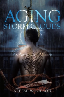 Aging Storm Clouds : An Assimilation Memoir