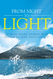 From Night to Light : My Brain Injury Journey from Despair to  Hope, Faith and Joy